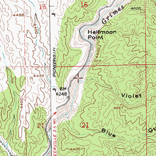 Topographic Map of Violet Gulch, ID