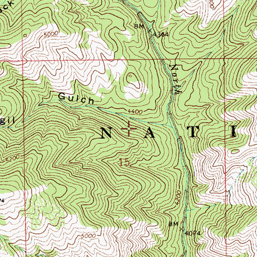 Topographic Map of Virgil Gulch, ID