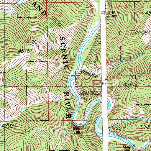 Topographic Map of Wahoo Creek, ID