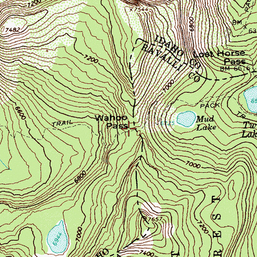 Topographic Map of Wahoo Pass, ID