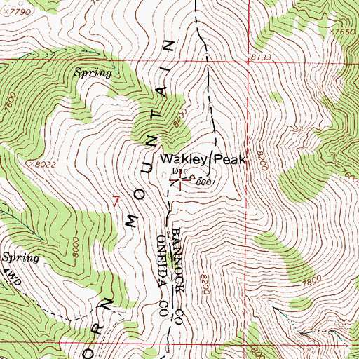 Topographic Map of Wakley Peak, ID