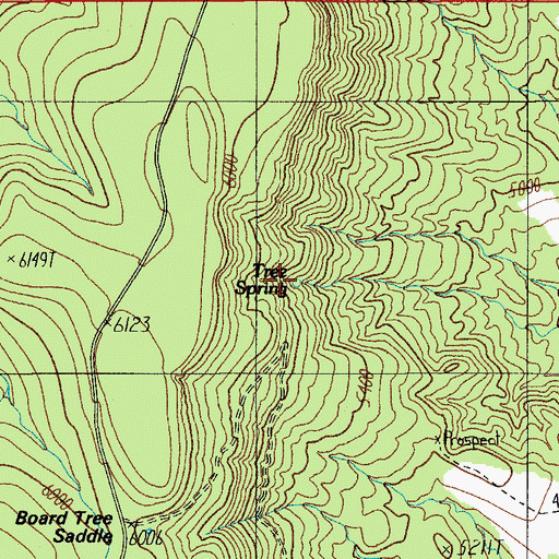 Topographic Map of Board Tree Spring, AZ