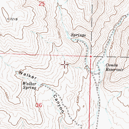 Topographic Map of Walker Spring, ID