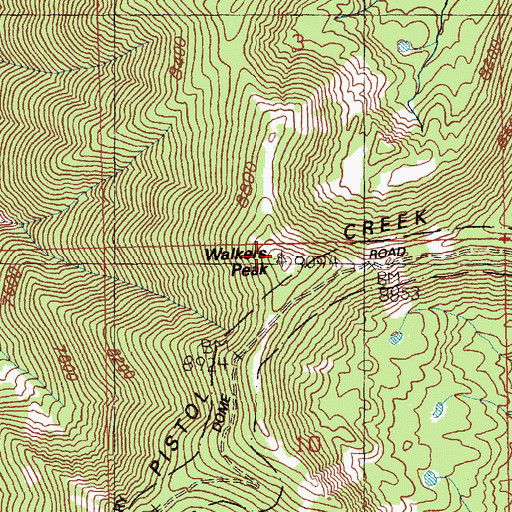 Topographic Map of Walkers Peak, ID