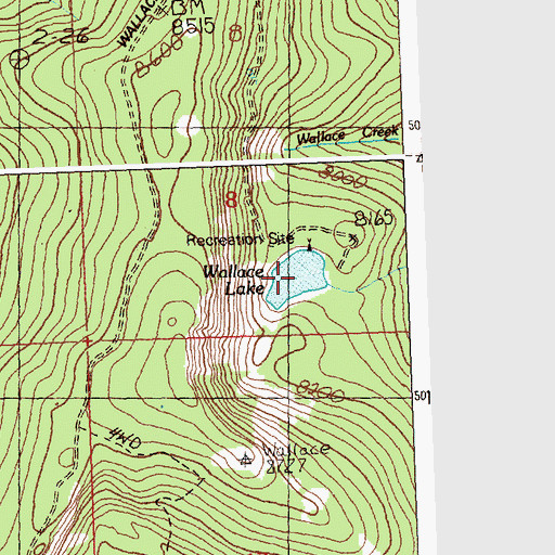 Topographic Map of Wallace Lake, ID