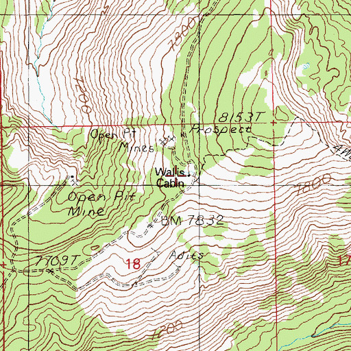 Topographic Map of Wallis Cabin, ID