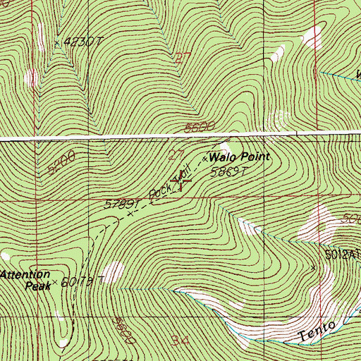 Topographic Map of Walo Point, ID