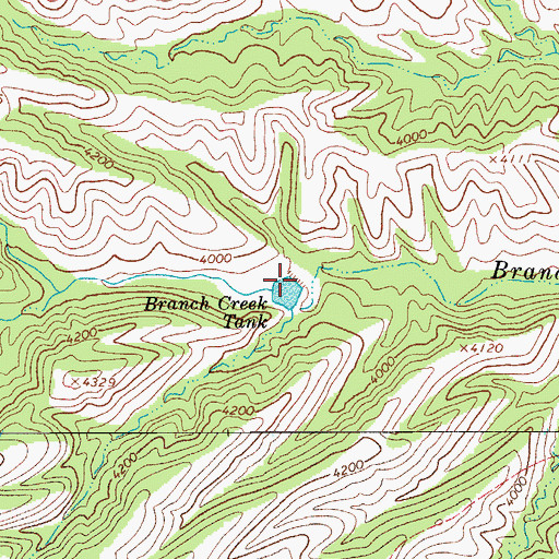 Topographic Map of Branch Creek Dam, AZ