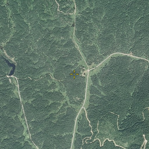 Aerial/Satellite Image of Washington Cabin, ID