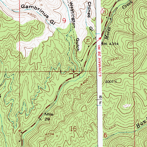 Topographic Map of Washington Gulch, ID