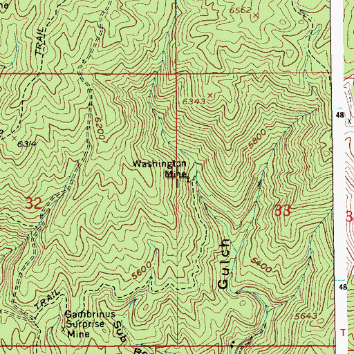 Topographic Map of Washington Mine, ID
