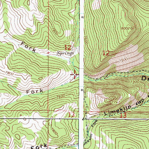 Topographic Map of Water Fork, ID