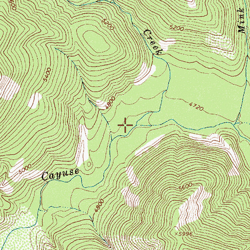 Topographic Map of Weasel Creek, ID