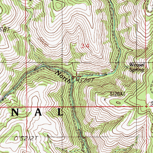 Topographic Map of Weasel Gulch, ID