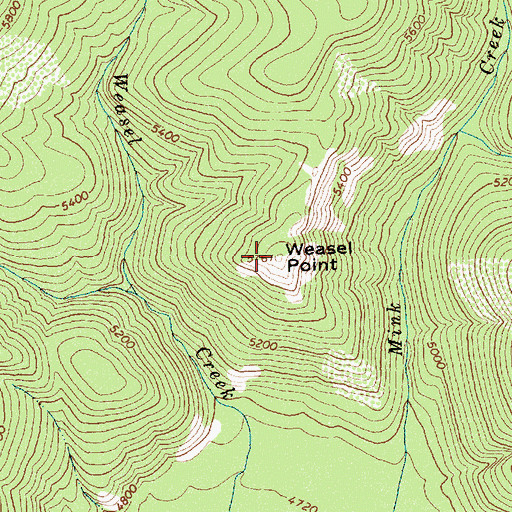 Topographic Map of Weasel Point, ID