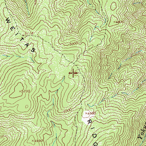 Topographic Map of Weitas Ridge, ID