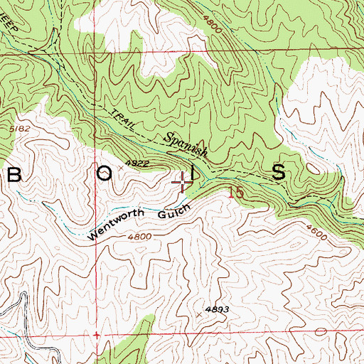 Topographic Map of Wentworth Gulch, ID