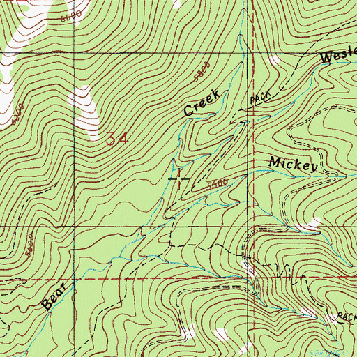Topographic Map of Wesley Creek, ID