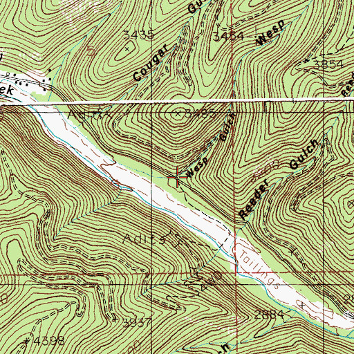 Topographic Map of Wesp Gulch, ID