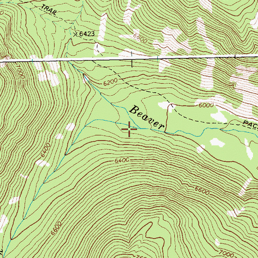 Topographic Map of West Fork Beaver Creek, ID