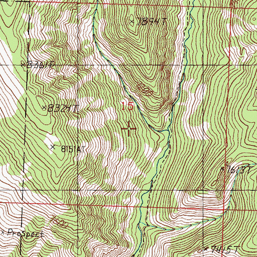 Topographic Map of West Fork Big Creek, ID