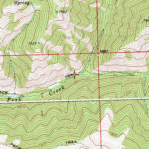 Topographic Map of West Fork Big Peak Creek, ID