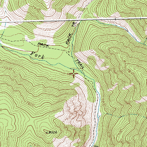 Topographic Map of West Fork Big Smoky Creek, ID