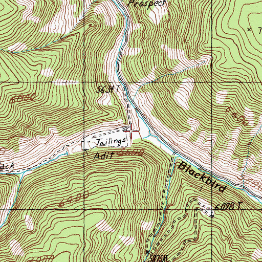 Topographic Map of West Fork Blackbird Creek, ID