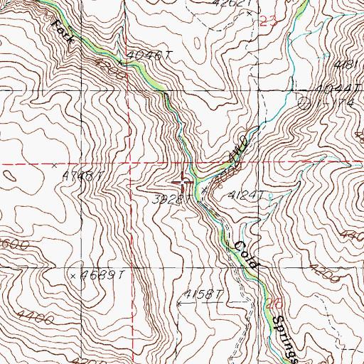 Topographic Map of West Fork Cold Springs Creek, ID