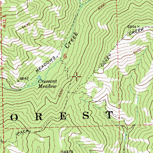 Topographic Map of West Fork Crooked Creek, ID