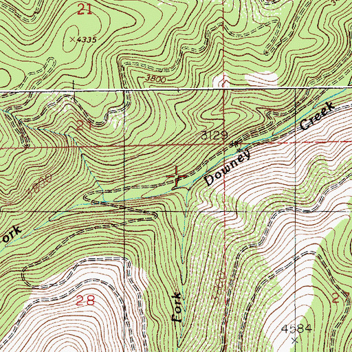 Topographic Map of West Fork Downey Creek, ID