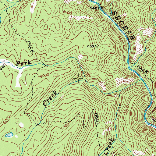 Topographic Map of West Fork Enos Creek, ID