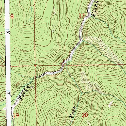Topographic Map of West Fork Fishhook Creek, ID