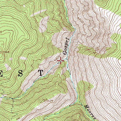 Topographic Map of West Fork Gospel Creek, ID