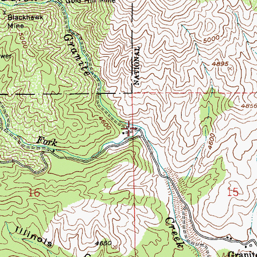 Topographic Map of West Fork Granite Creek, ID