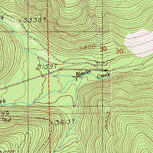 Topographic Map of West Fork Keeler Creek, ID