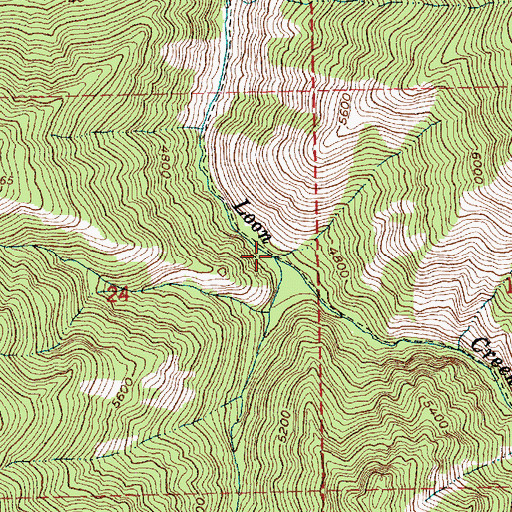 Topographic Map of West Fork Little Loon Creek, ID