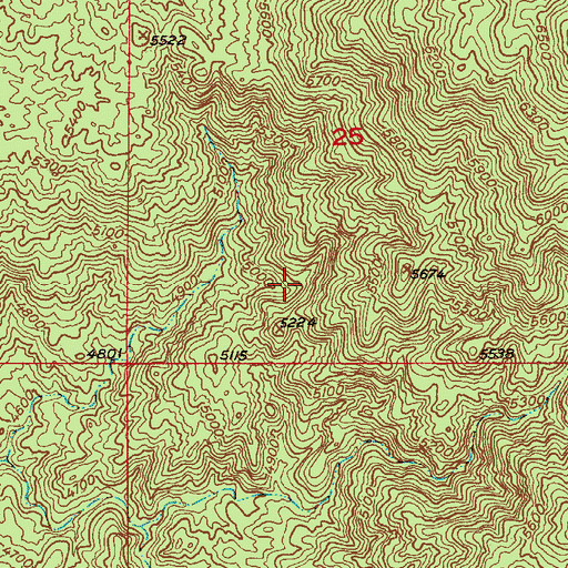 Topographic Map of Cameron Spring, AZ
