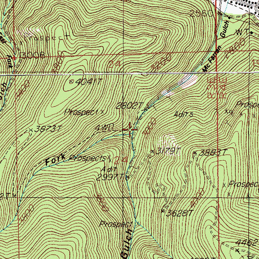 Topographic Map of West Fork McFarren Gulch, ID