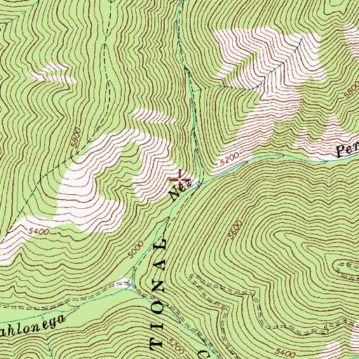 Topographic Map of West Fork Nez Perce Creek, ID