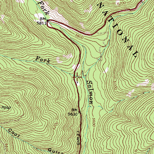 Topographic Map of West Fork North Fork Salmon River, ID