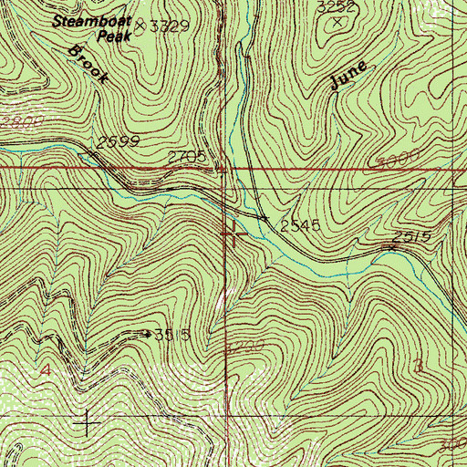 Topographic Map of West Fork Steamboat Creek, ID