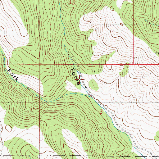 Topographic Map of West Fork Toms Canyon, ID