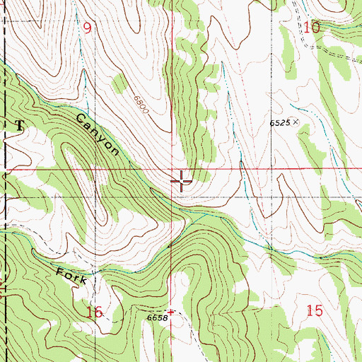 Topographic Map of West Fork Water Canyon, ID
