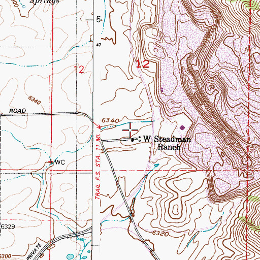 Topographic Map of West Steadman Ranch, ID