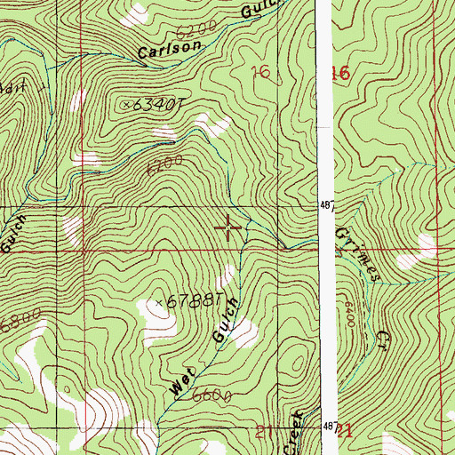 Topographic Map of Wet Gulch, ID