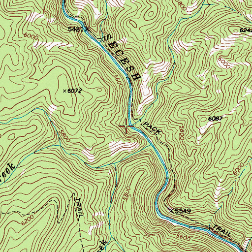 Topographic Map of Whangdoodle Creek, ID