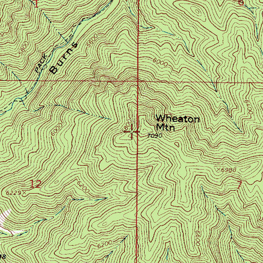 Topographic Map of Wheaton Mountain, ID
