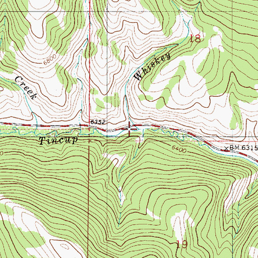 Topographic Map of Whiskey Creek, ID