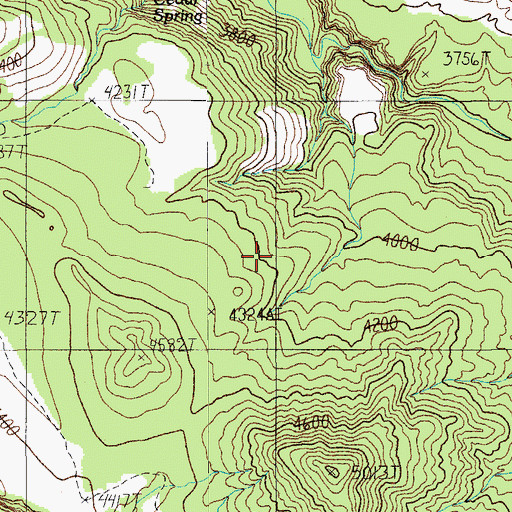 Topographic Map of Cedar Spring, AZ